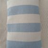 Bouillotte sèche coussin
