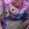 Sac de plage Cheval